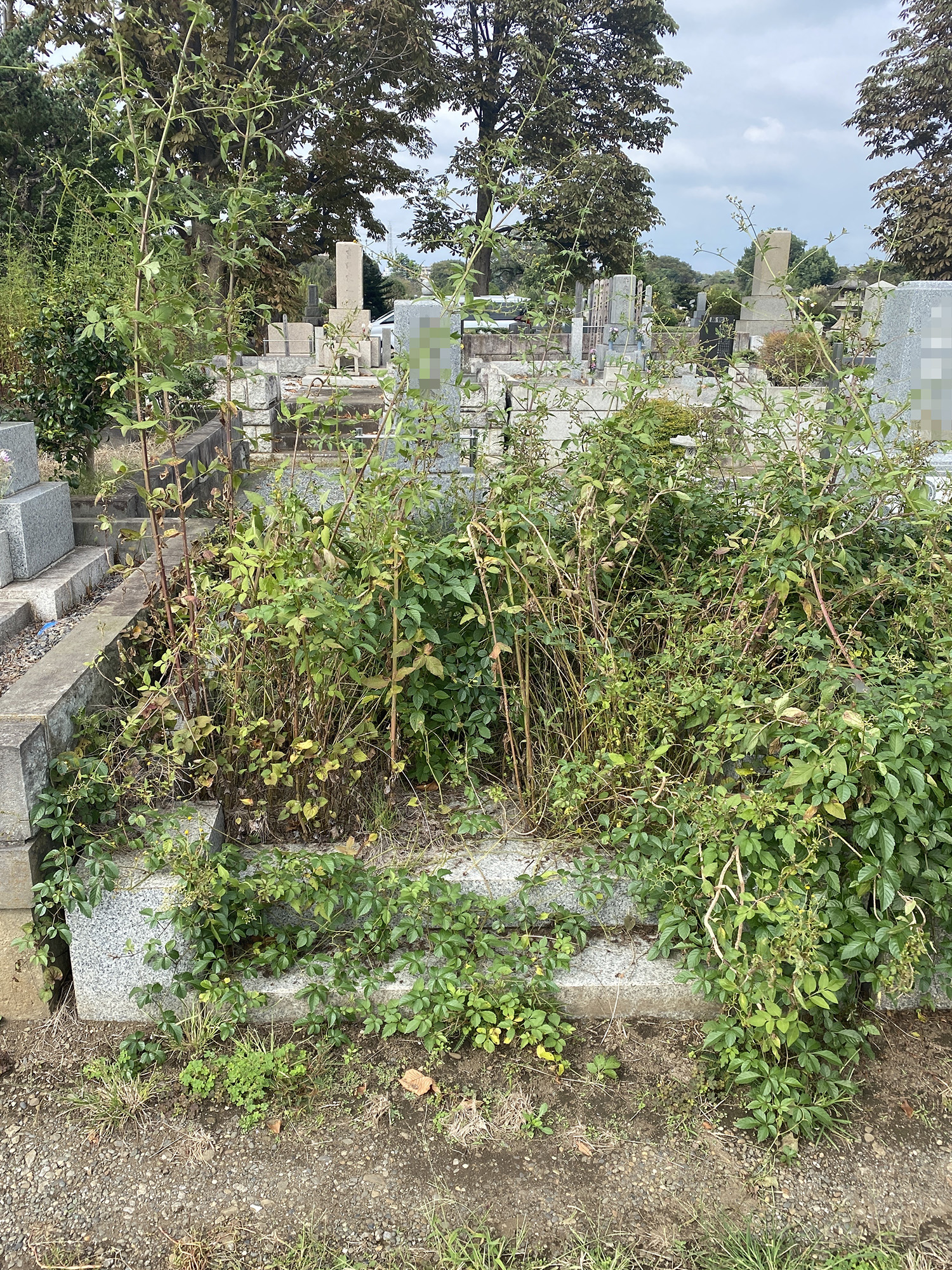 お墓リフォーム